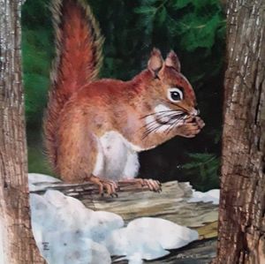 All items from this closet are clean and washed.